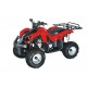 ATV 110cc XYST